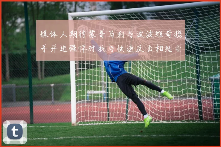媒体人期待蒙哥马利与波波维奇携手并进强悍对抗与快速反击相结合