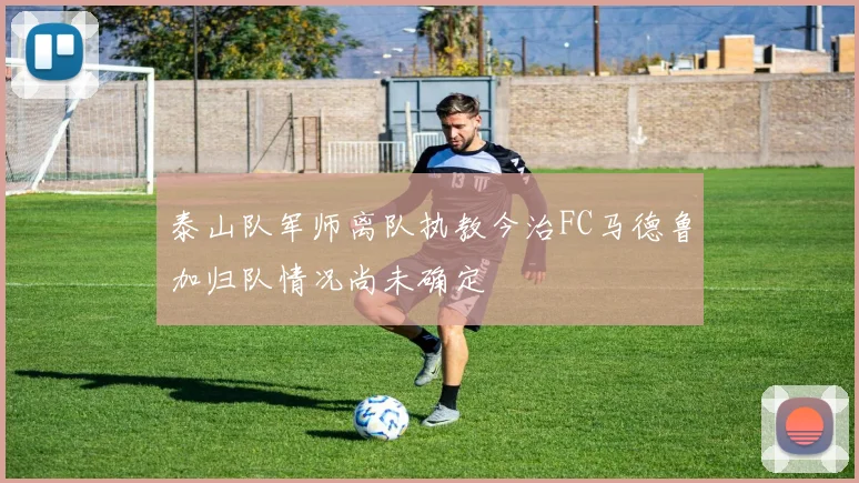 泰山队军师离队执教今治FC马德鲁加归队情况尚未确定